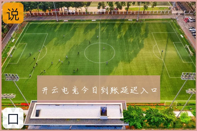 开云电竞今日到账延迟入口
